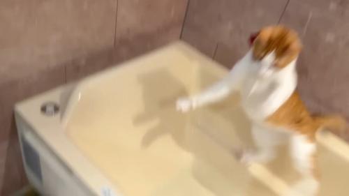 落下
