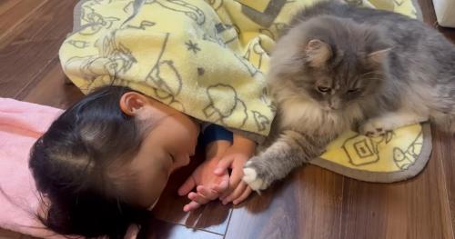 寝ている子どもと猫