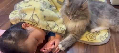 寝ている子どもと猫