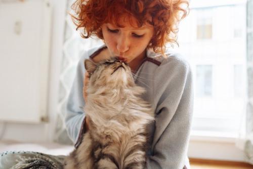 猫とキスする飼い主