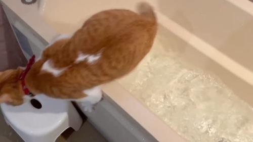 脱出