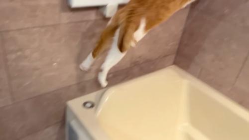 ジャンプ