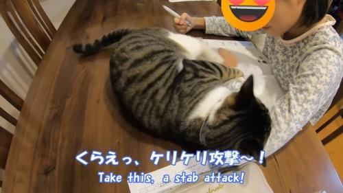 くらえっ