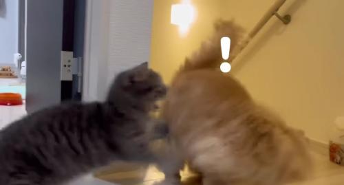 反撃の瞬間