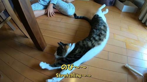 のび〜