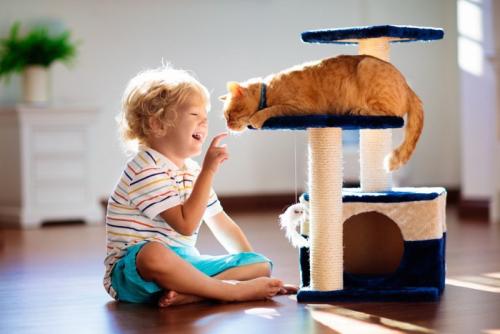 子供にやさしい猫