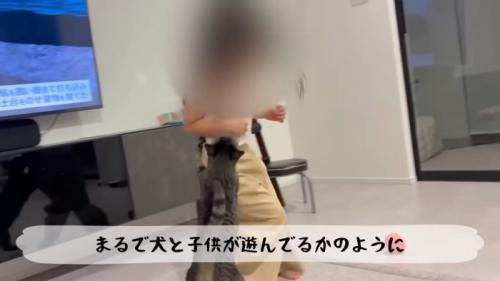 テロップ「まるで犬と子供が～」