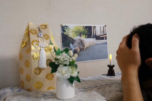 猫の遺影の前で頭を抱える人
