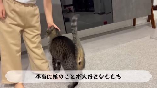 テロップ「本当に娘のことが～」