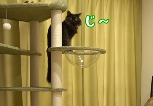 「じ～」と書いてある写真