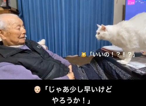 おじいちゃんを見る猫の横顔