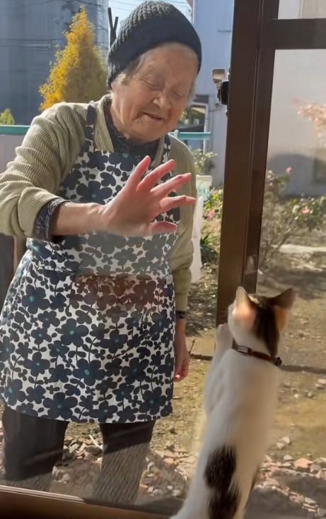 手をふるおばあさんとミケ猫