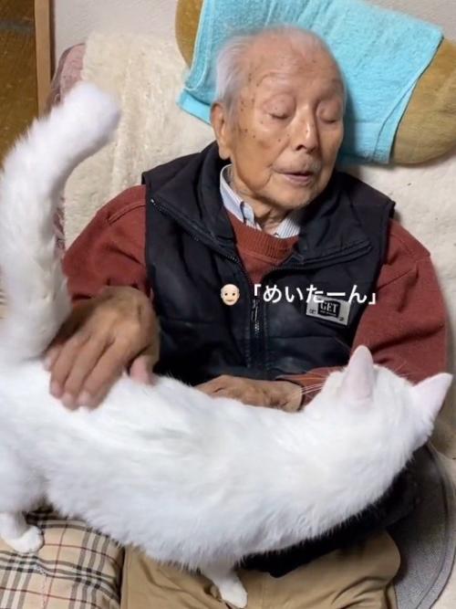 おじいちゃんのひざの上に乗る猫