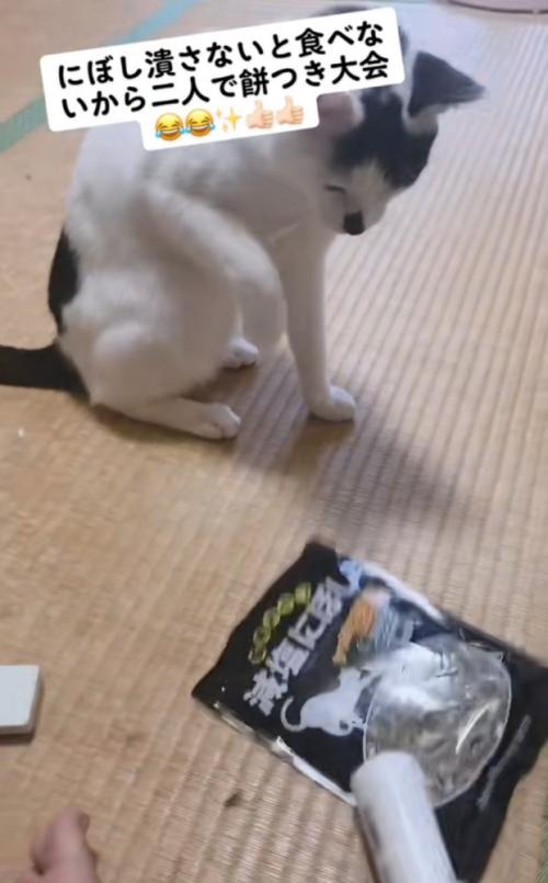 煮干しを麺棒で叩く