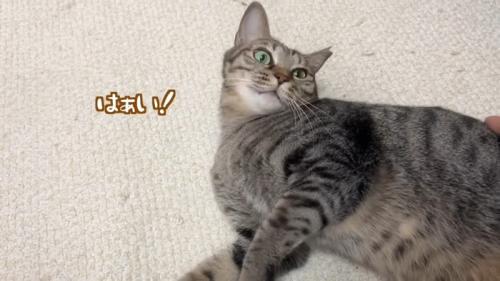 はぁい！