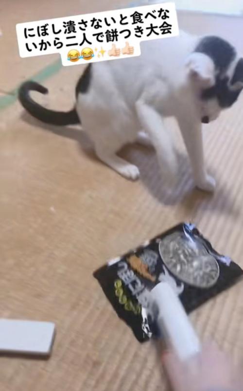 麺棒で叩く