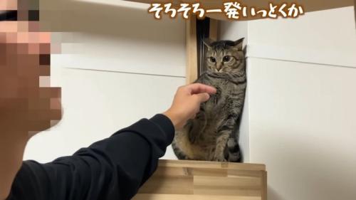 そろそろ一発
