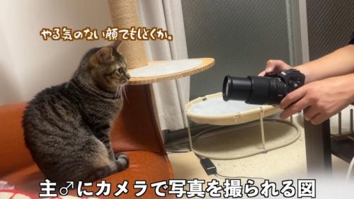 写真を撮られる図