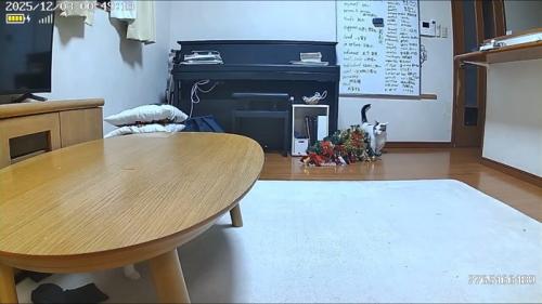 ツリーを倒した豆大福くん