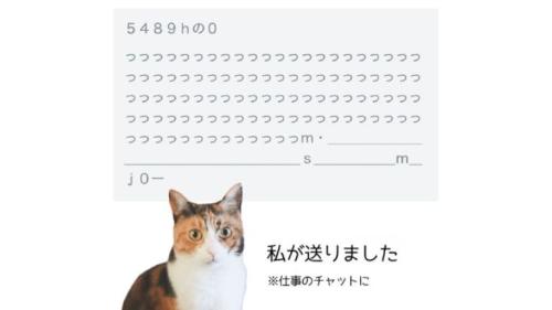猫と文章
