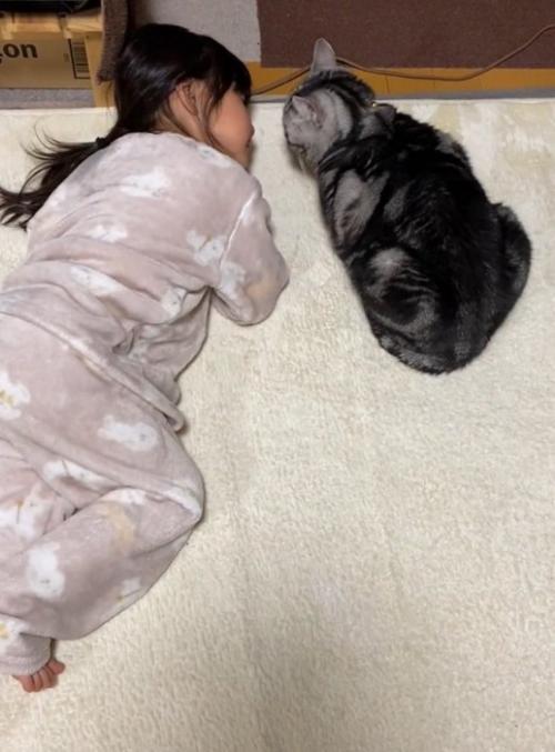 寝転ぶ女の子と猫