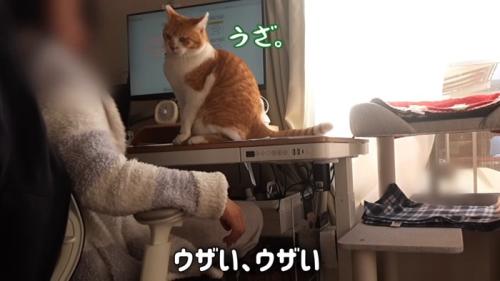うざ。