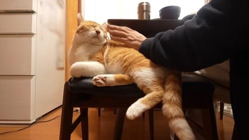 イスの上