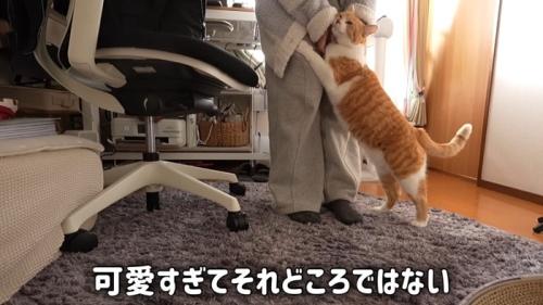 可愛すぎて