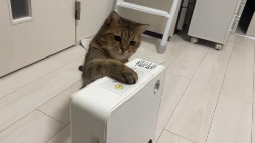 みにらくんがタッチ