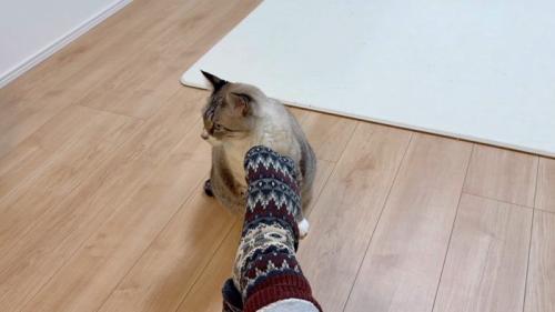 顔を背けるねこチャックくん