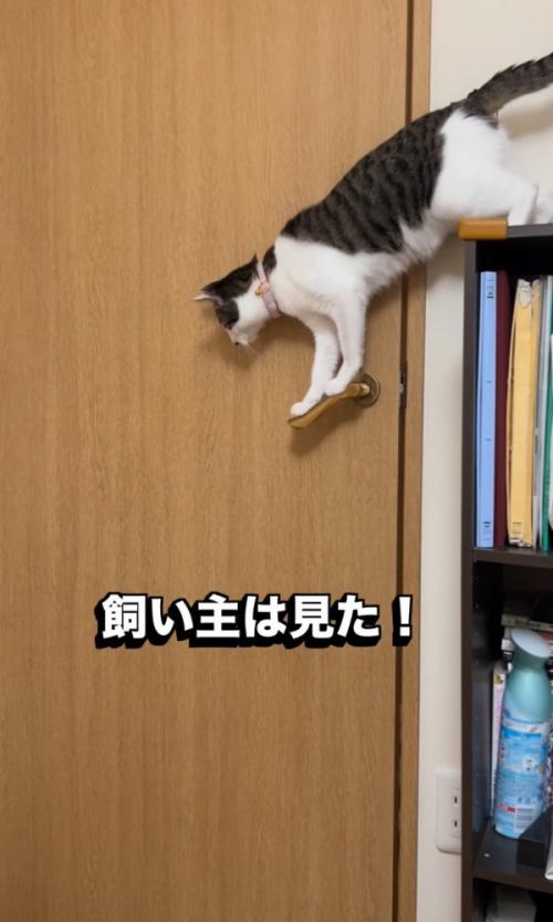 少し開くドア