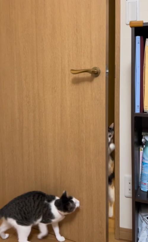 開くドア