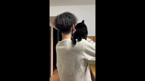 顔を舐めて