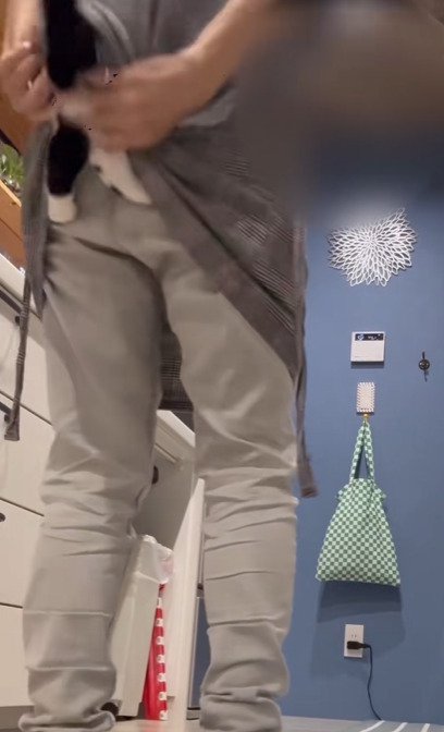 エプロンの中に入る猫