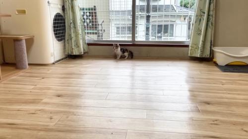 窓の前