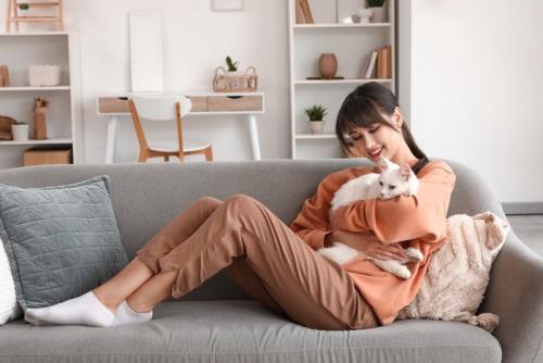 人に抱きかかえられている猫