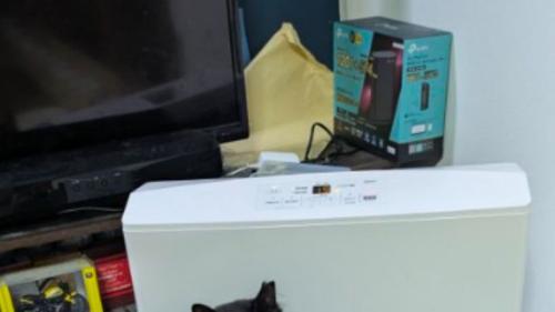 ヒーター