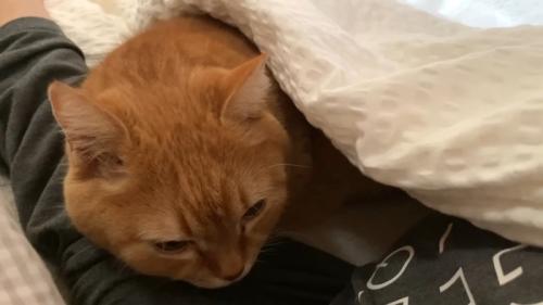 腕枕