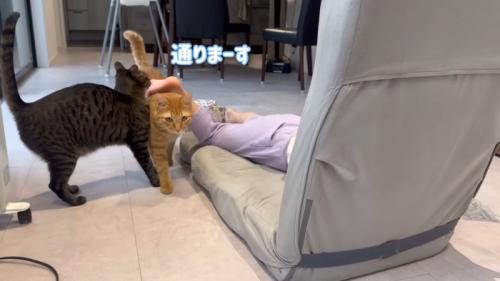 テロップ「通りまーす」
