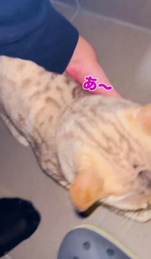 「あ~」と書かれた写真