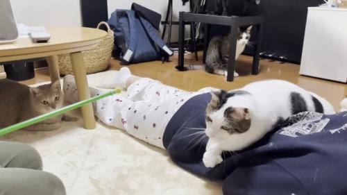 上半身を乗り上げて