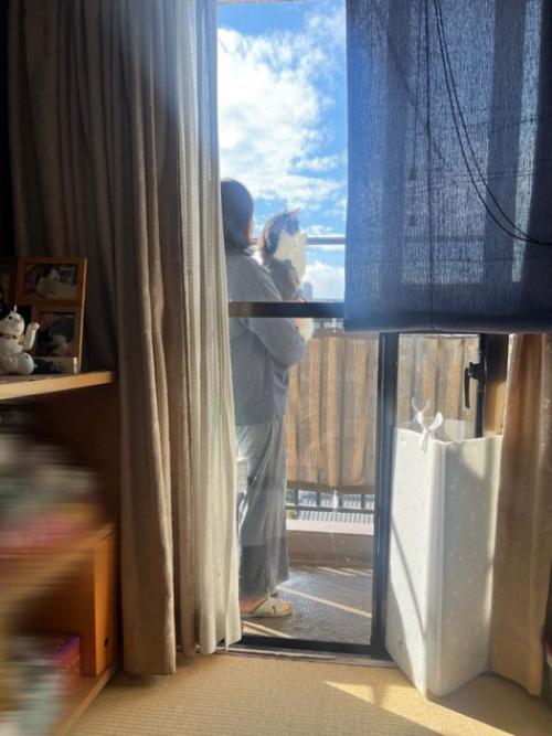ベランダにいる猫と人