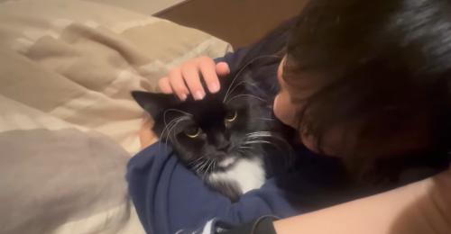 布団に潜り込んでいる猫と隣で寝ている子ども