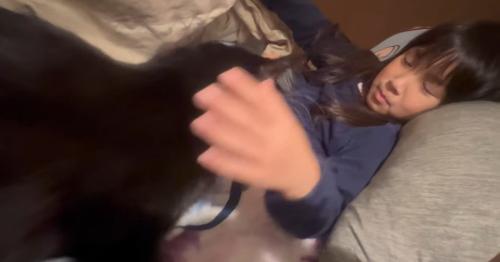 布団に潜り込んでいる猫と呼んでいる子ども