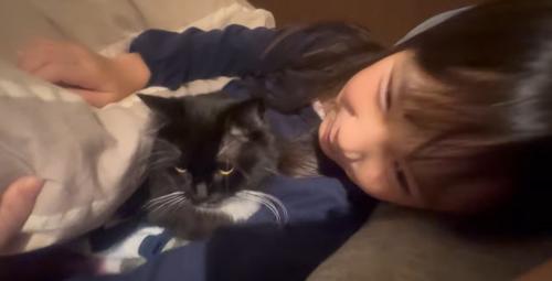 布団に潜り込んでいる猫と隣で寝ている子ども