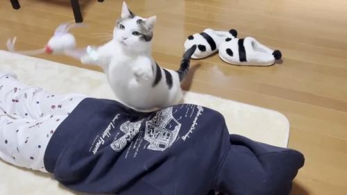 両前足を上げて