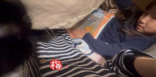 布団に潜り込んでいる猫と呼んでいる子ども