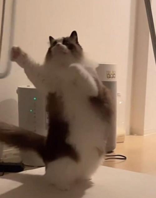 手を伸ばす