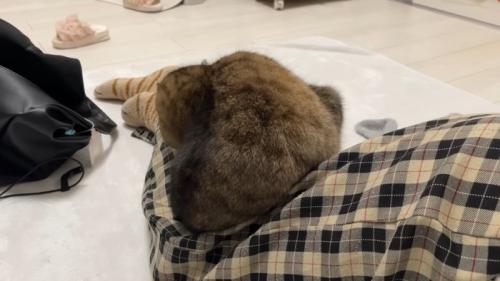 丸まった背中