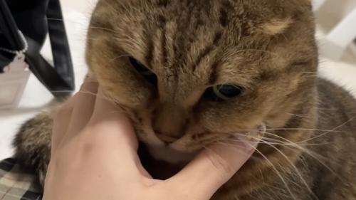 顔をムギュッ